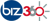 Biz360 Logotype