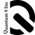 Quantum 9, Inc Logotype