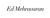 Ed Mehravaran Logotype