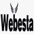 Webesta Solutions Logotype