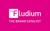 Fludium Logotype