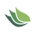 Vinea Capital Logotype