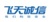 FEITIAN Technologies Co., Ltd. Logotype