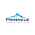 Pinnacle Investigations Logotype