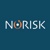 Norisk Srl Logotype