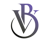 Vortex Byte Digital Logotype