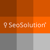 Seo Solution Logotype