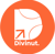 Divinut Logotype