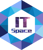 ITSpace Group Logotype