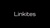 Linkites Logotype