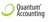 Quantum Accounting Logotype