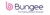 Bungee (formerly Direct Answer) Logotype