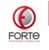 Forte Innovation Consulting Logotype