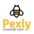 Pexly Logotype