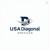 USA DIAGOANAL SERVICES Logotype