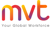 My Virtual Teams Pvt Ltd Logotype