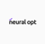 Neural Opt LLC. Logotype