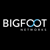 Bigfoot Networks Ltd Logotype