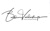 Baldini and Vandersluys Logotype