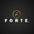 Forte A.Ş. Logotype