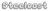 Steelcast Logotype