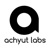 Achyut Labs Logotype