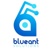 Blueant Solutions Logotype
