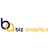 BIZ ANALYTICS INC Logotype