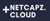 Netcapz Logotype