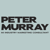 Peter Murray MI Marketing Consultant Logotype