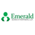 Emerald Search Partners, LLP Logotype