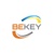 BeKey LLC Logotype