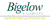 Bigelow & Company CPA, PLLC Logotype