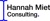Hannah Miet Consulting LLC Logotype