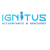 Ignitus Accountants & Advisors Logotype