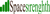spacestrenghth Logotype