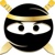 Brown Box Ninja. Logotype
