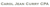 Carol Jean Curry CPA Logotype