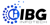 IBG Infotech Pvt Ltd Logotype