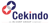 PT Cekindo Business International Logotype