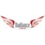 Radiance IT Consulting LLC Logotype