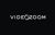 Videozoom Logotype