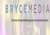 Bryce Media Logotype