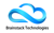 Brainstack Technologies Logotype