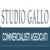 Studio Gallo Commercialisti Associati Logotype