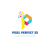 Pixel Perfect freelance digital marketing Agency Logotype