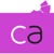 Custom Analytics Logotype