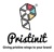 Pristinit Solutions Logotype