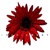 Imedia West Logotype