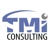 TMI Consulting, LLC Logotype